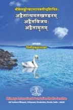 Advaitanyamatakhandanam, Advaitavijayah, Advaitamrtam